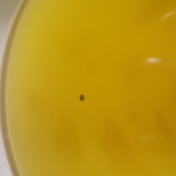 Duck IT ! Moving Light Goldish Yellow Swirl Duck Cup - Picture 5 of 8